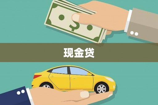 华龙现金贷