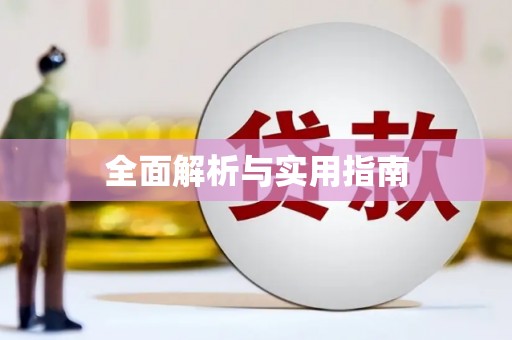 华龙全面解析与实用指南
