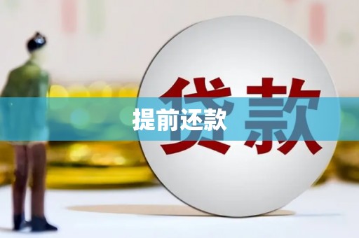 华龙提前还款