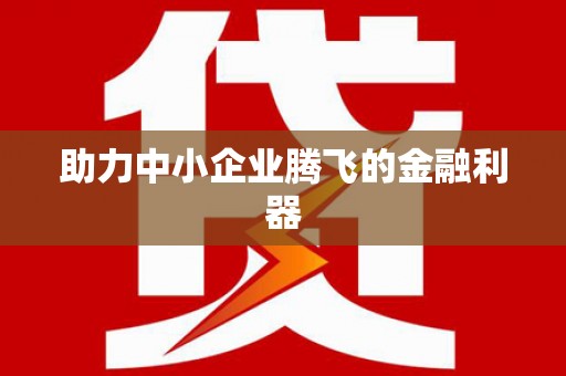 华龙助力中小企业腾飞的金融利器