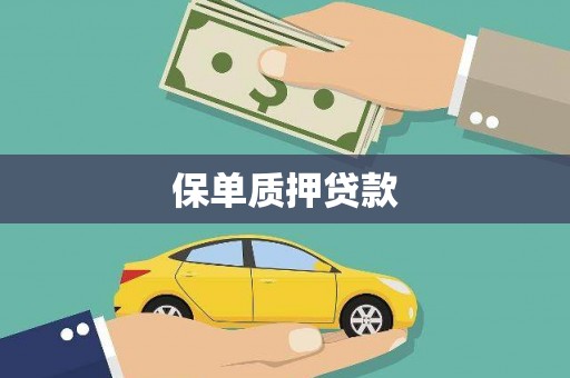 华龙保单质押贷款