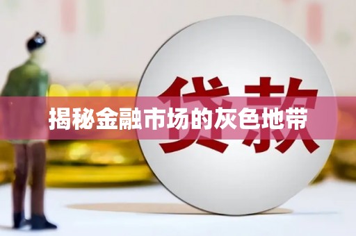 华龙揭秘金融市场的灰色地带