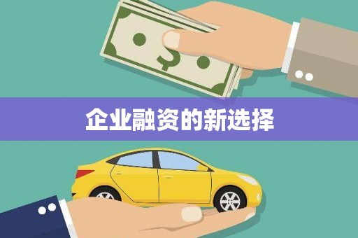 华龙企业融资的新选择