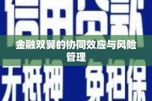 华龙金融双翼的协同效应与风险管理