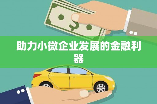 华龙助力小微企业发展的金融利器