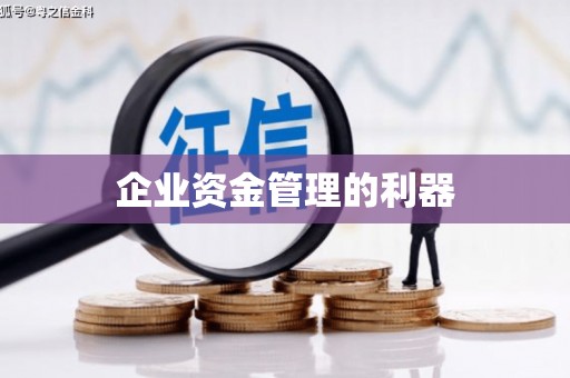 华龙企业资金管理的利器