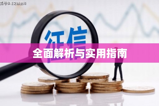 华龙全面解析与实用指南