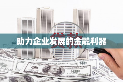 华龙助力企业发展的金融利器