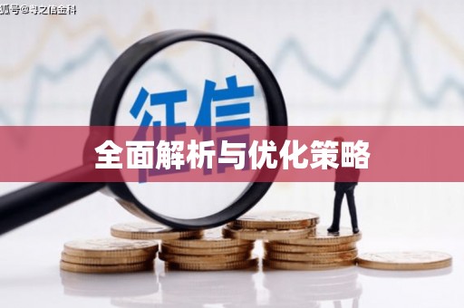 华龙全面解析与优化策略
