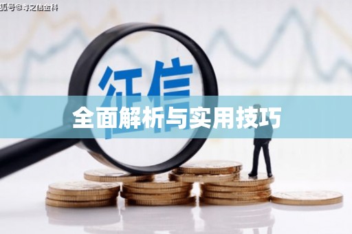 华龙全面解析与实用技巧