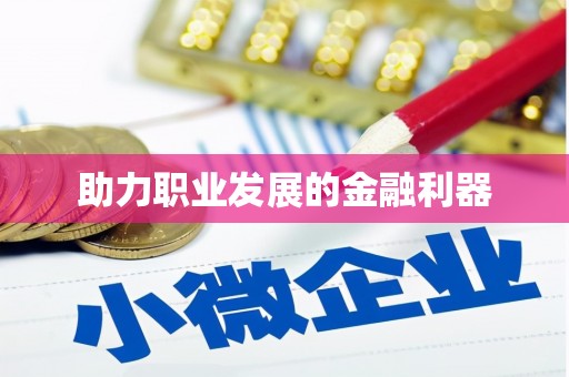 华龙助力职业发展的金融利器