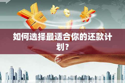 华龙如何选择最适合你的还款计划？
