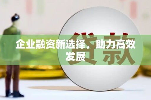 华龙企业融资新选择，助力高效发展