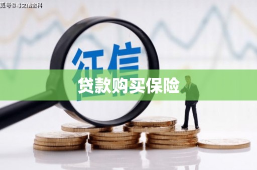 华龙贷款购买保险