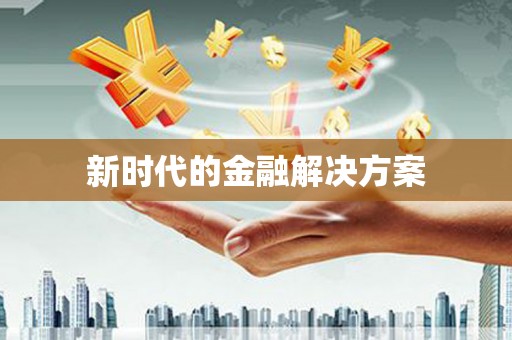 华龙新时代的金融解决方案