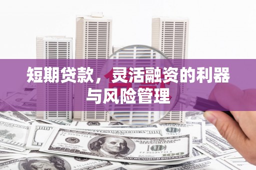 华龙短期贷款，灵活融资的利器与风险管理
