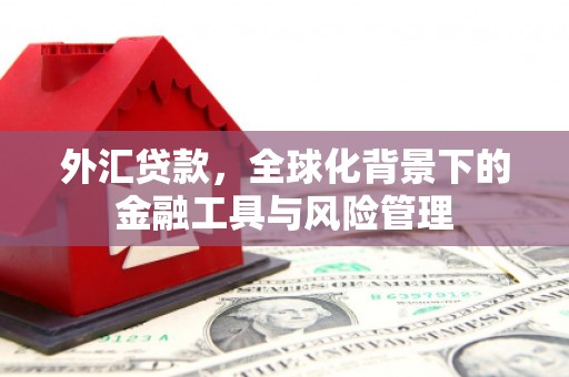 华龙外汇贷款，全球化背景下的金融工具与风险管理