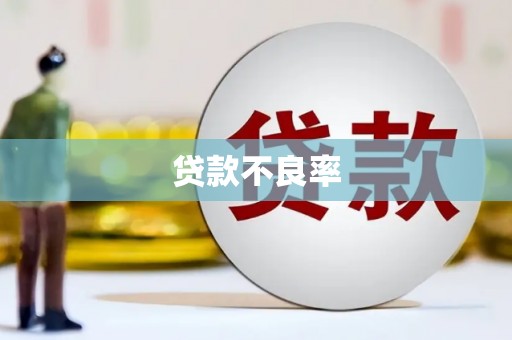 华龙贷款不良率