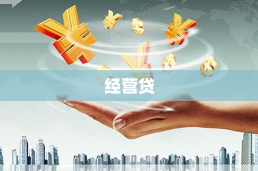 华龙经营贷